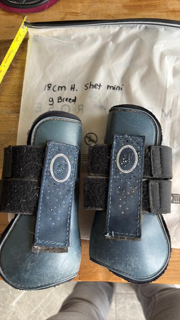 Peesjes blauw minipony, Dieren en Toebehoren, Ophalen of Verzenden