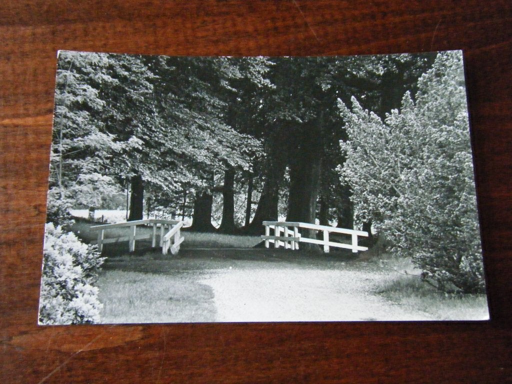 E91 - Lage Vuursche - Pr. Hendriksoord - Mooi/Oud, Ophalen of Verzenden, 1940 tot 1960, Utrecht