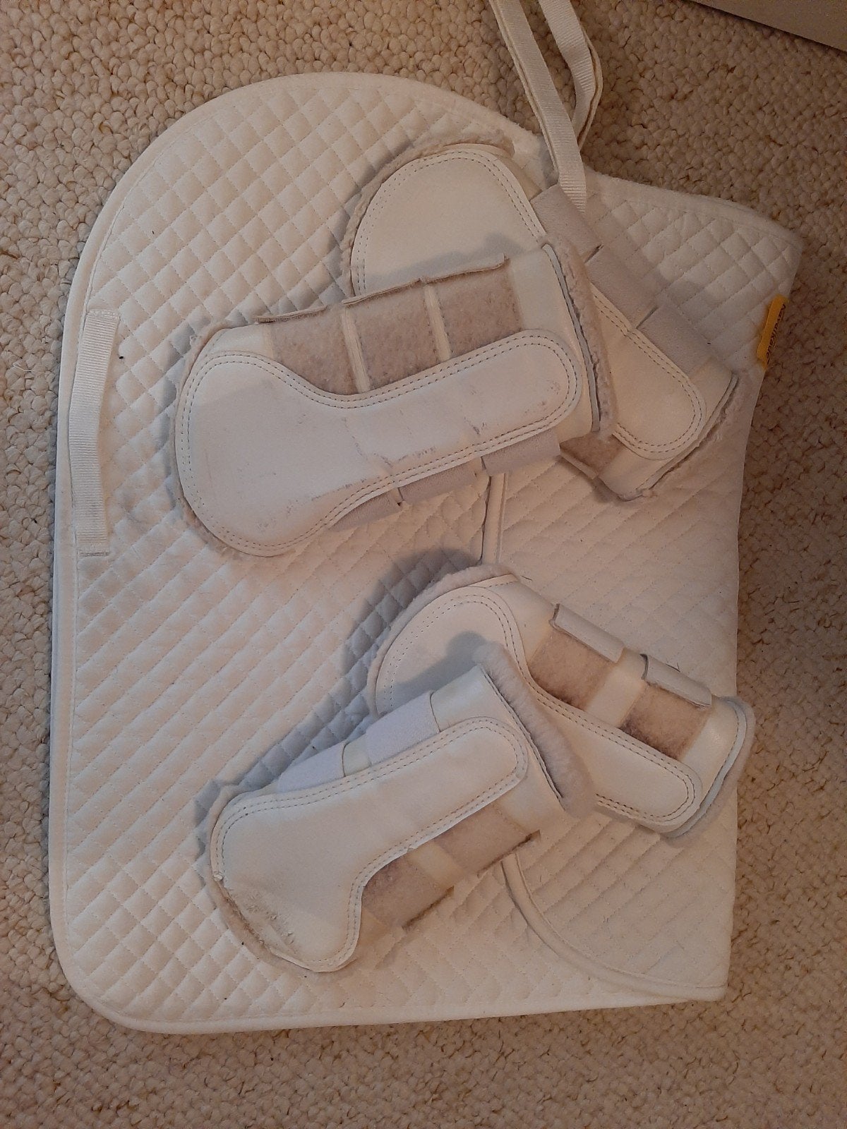 springdekje met flextrainers 10 euro, Dieren en Toebehoren, Ophalen of Verzenden
