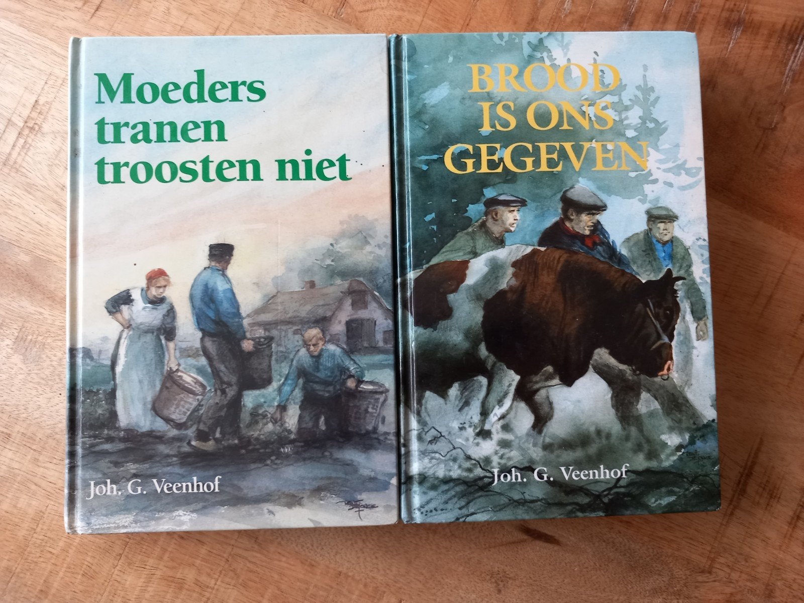 Joh. Veenhof, Boeken, Ophalen of Verzenden, Zo goed als nieuw