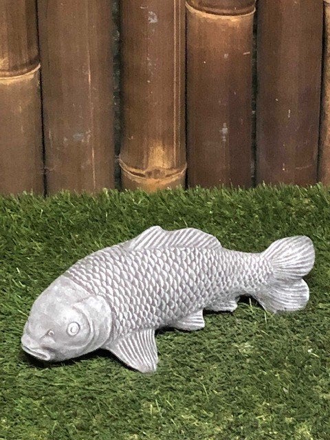 Koi karper nr.174