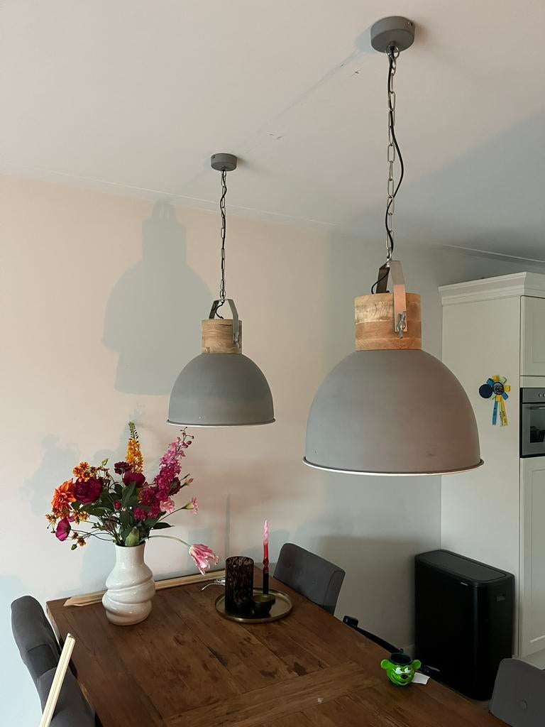 Industriële hanglampen, Ophalen, Zo goed als nieuw, Metaal, Minder dan 50 cm