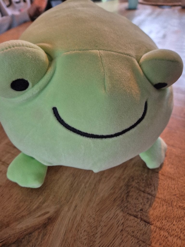 Knuffel miniso kikker squishmallow, Ophalen of Verzenden, Zo goed als nieuw, Kikker