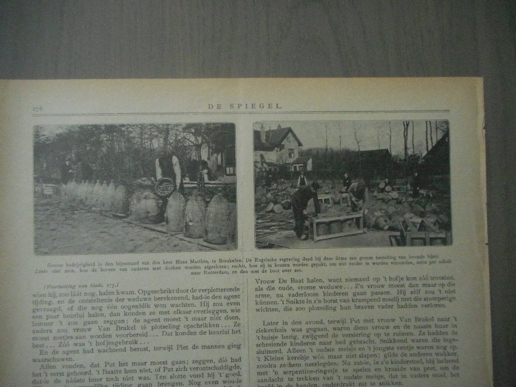 Breukelen. Hans Matthes. Imker. Bijen. 1919., Ophalen of Verzenden, Voor 1920, Nederland, Knipsel(s)
