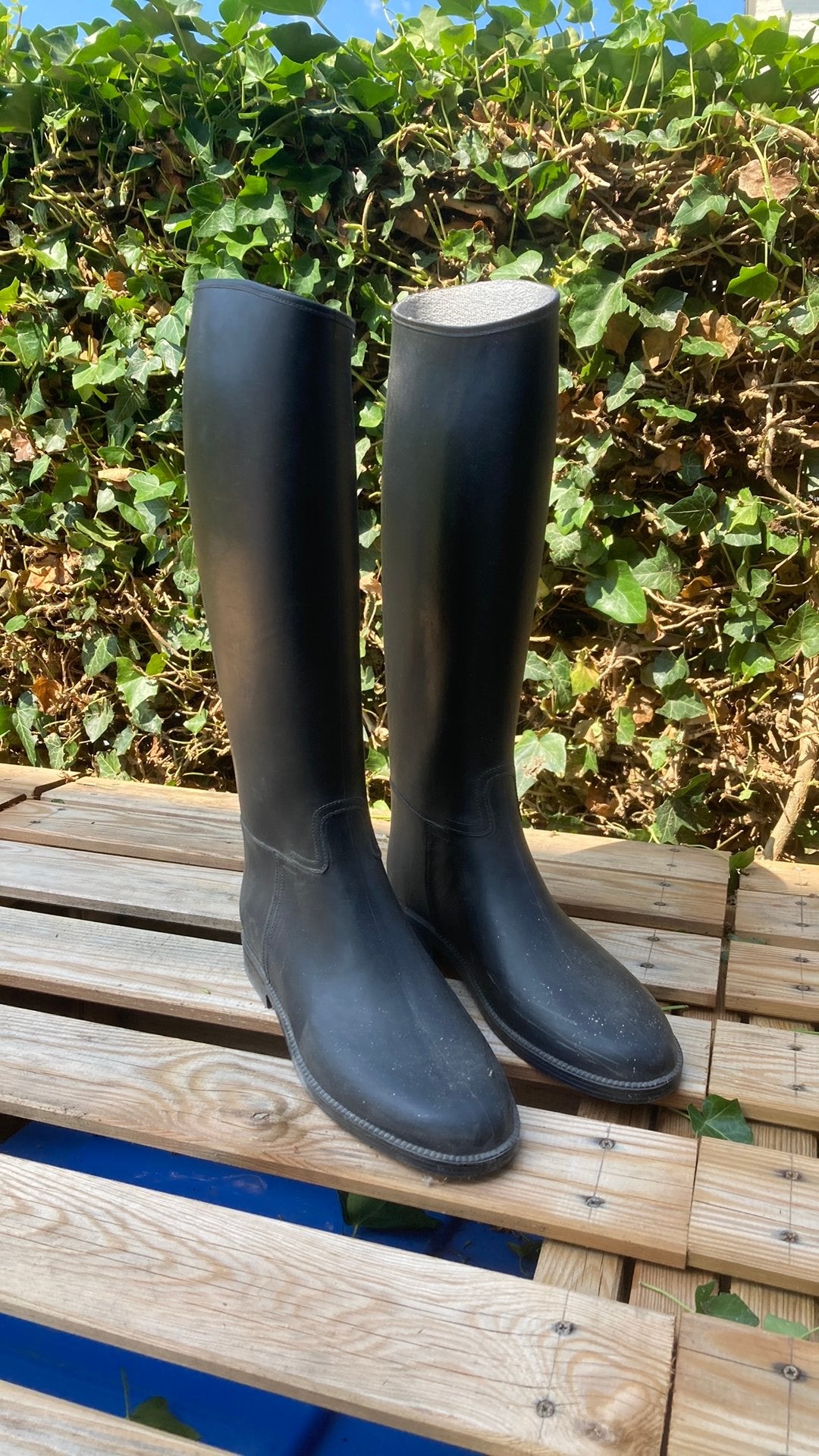 Paardrijlaarzen maat 43, Dieren en Toebehoren, Paardrijkleding, Verzenden, Zo goed als nieuw, Dressuur, Schoeisel