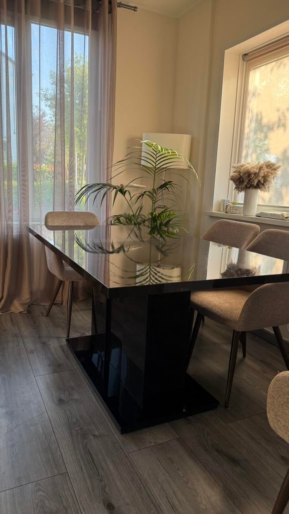 Eettafel zwart, Huis en Inrichting, Tafels | Eettafels, Ophalen, 50 tot 100 cm, Zo goed als nieuw, Vijf personen of meer