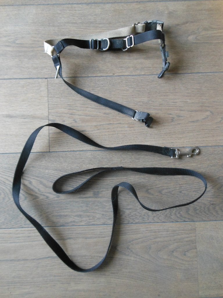 Te koop: Hondenharnas of tuig met riem Petsafe Easy Walk, M, Ophalen of Verzenden, Zo goed als nieuw, Hondenriem