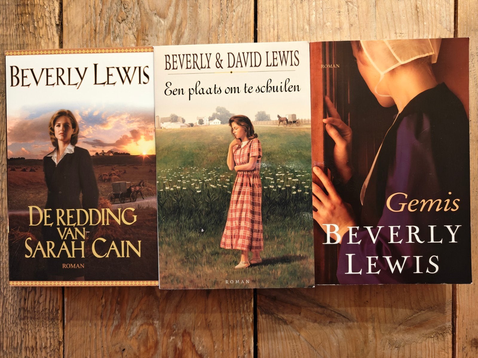 3 Boeken van Beverly Lewis., Boeken, Ophalen of Verzenden, Gelezen