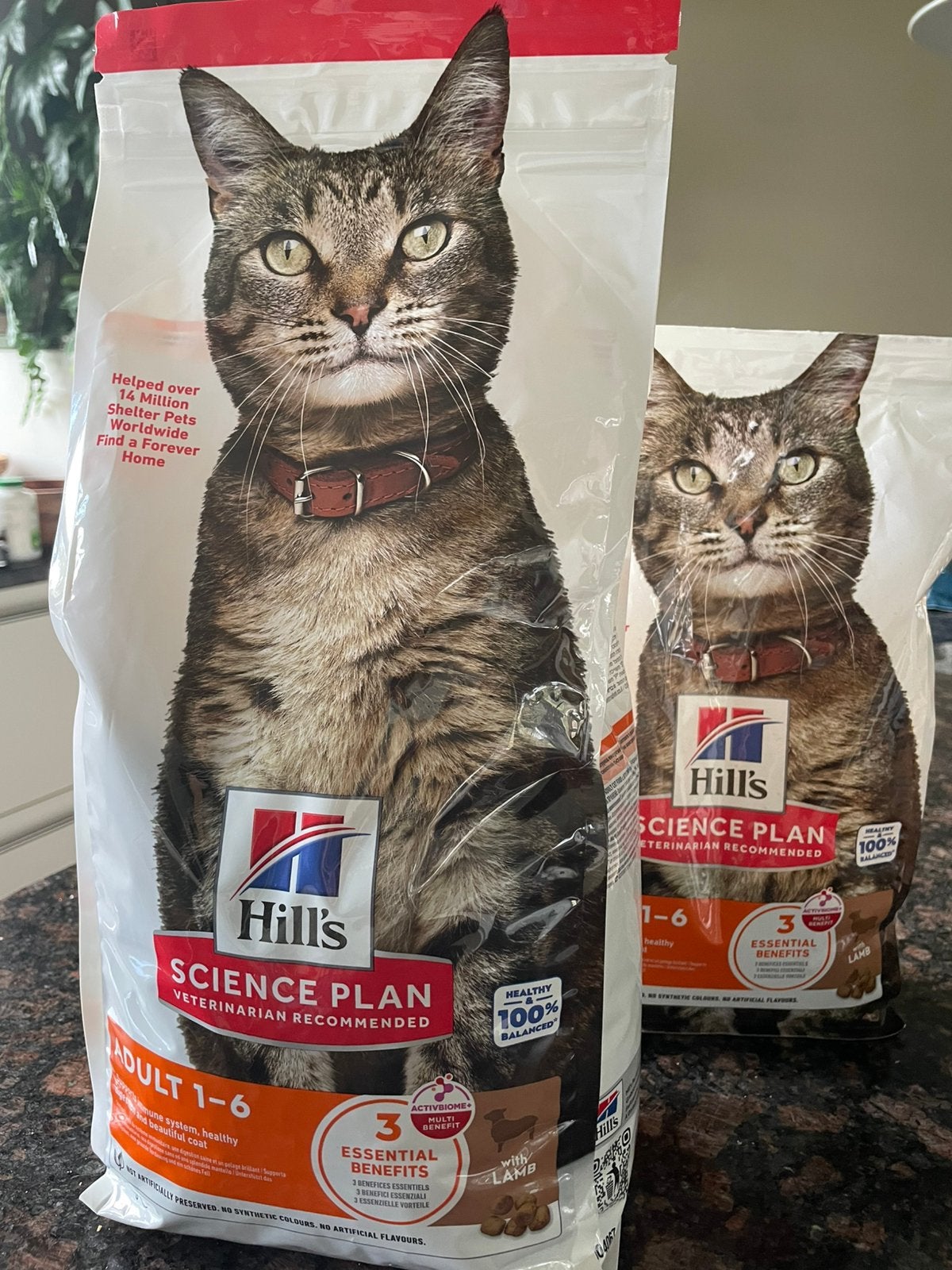 Ongeopend: Hills kattenbrokken Lam 3 kg- voor 1-6 jaar, Ophalen, Kat