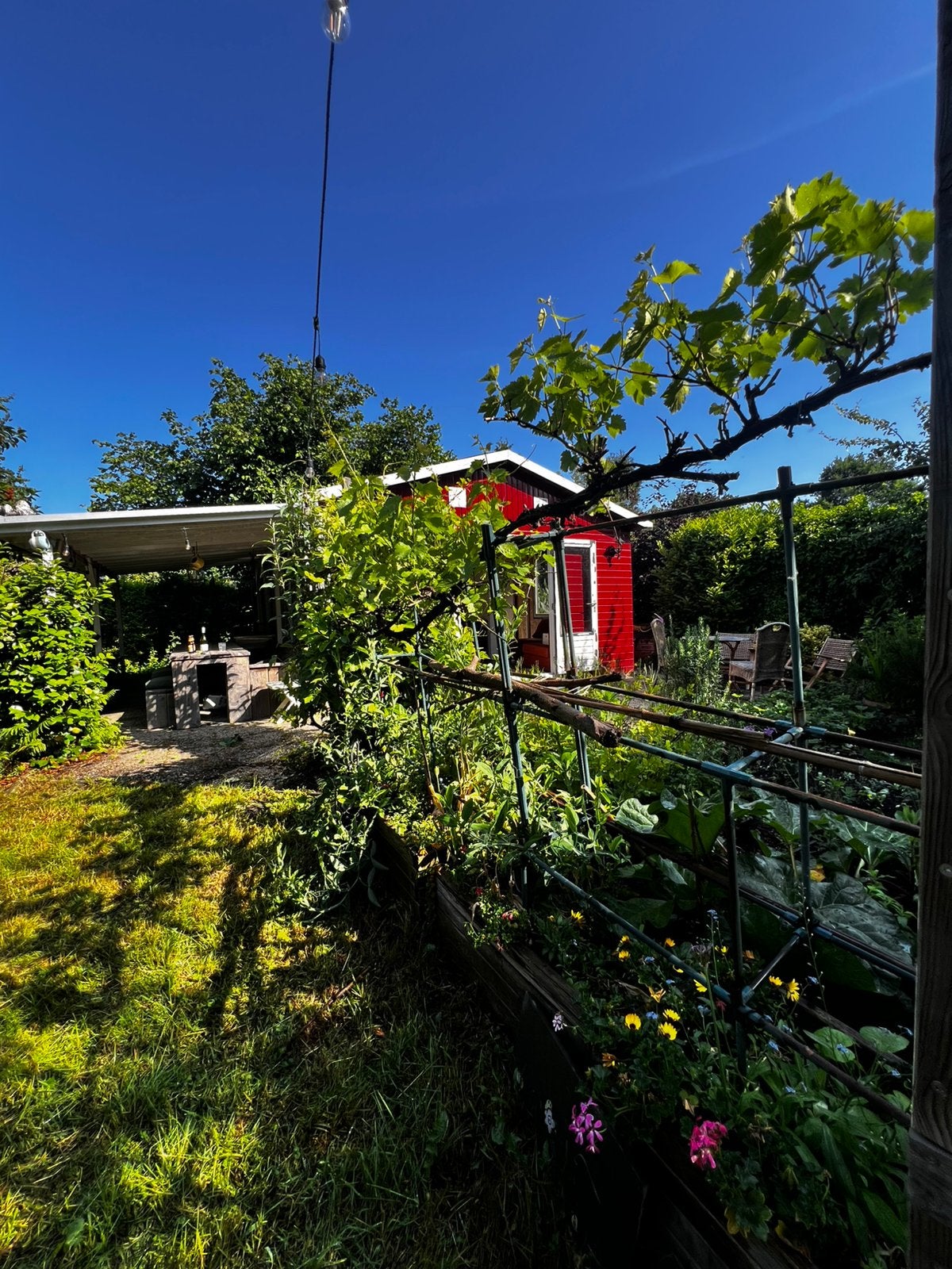 Volkstuin met huisje, Vakantie, Vakantiehuizen | Nederland, Tuin