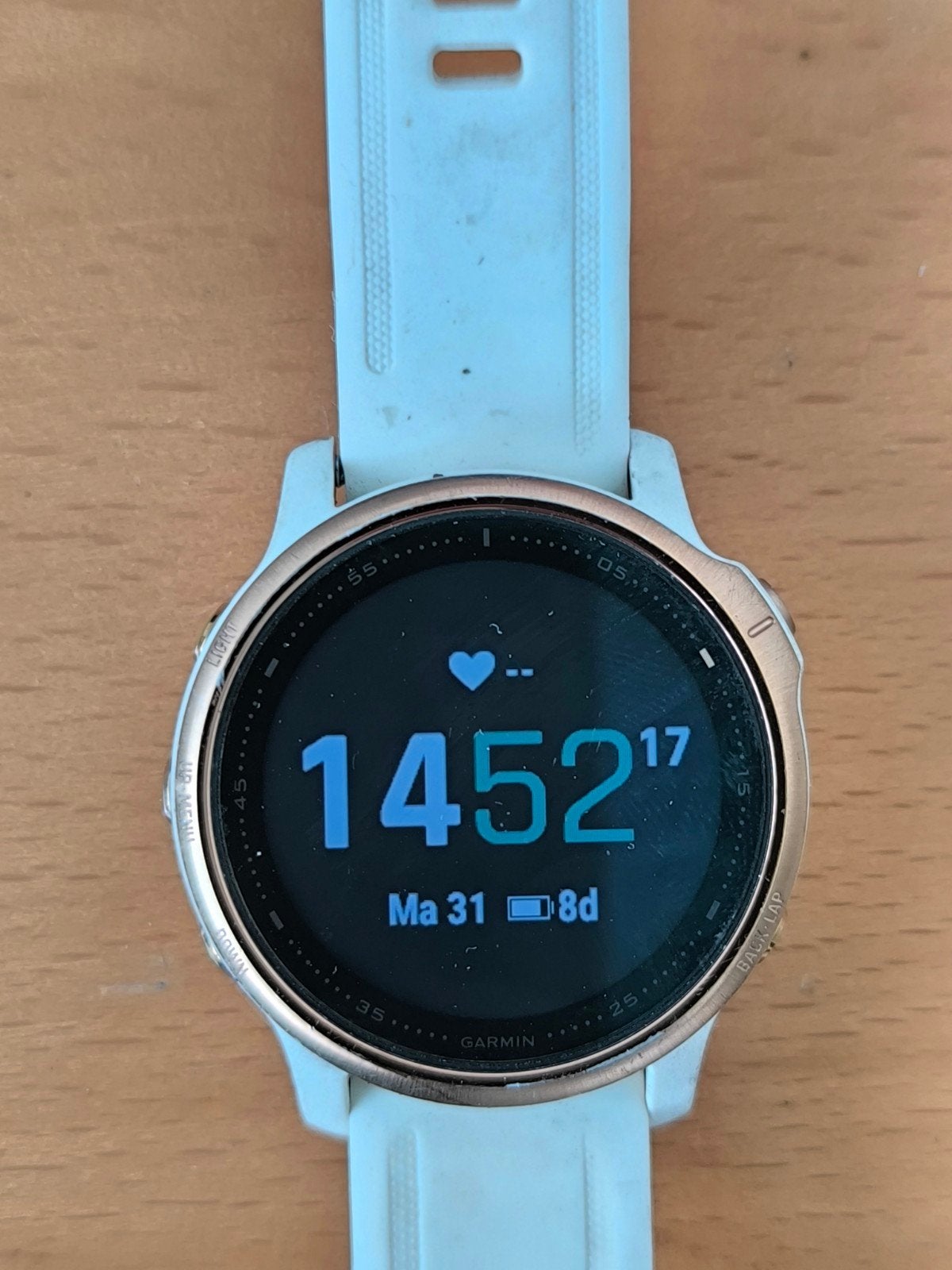 Garmin Fenix 6S pro, Verzenden, Zo goed als nieuw, Waterdicht, GPS