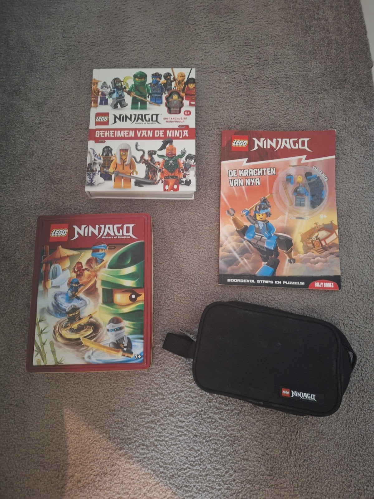 LEGO Ninjago boeken en etui, Ophalen of Verzenden, Gebruikt, Overige merken