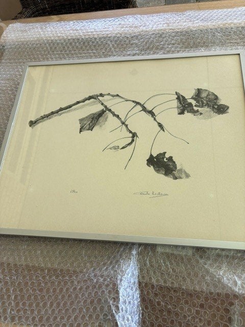 Litho gesigneerd Paula, Ophalen