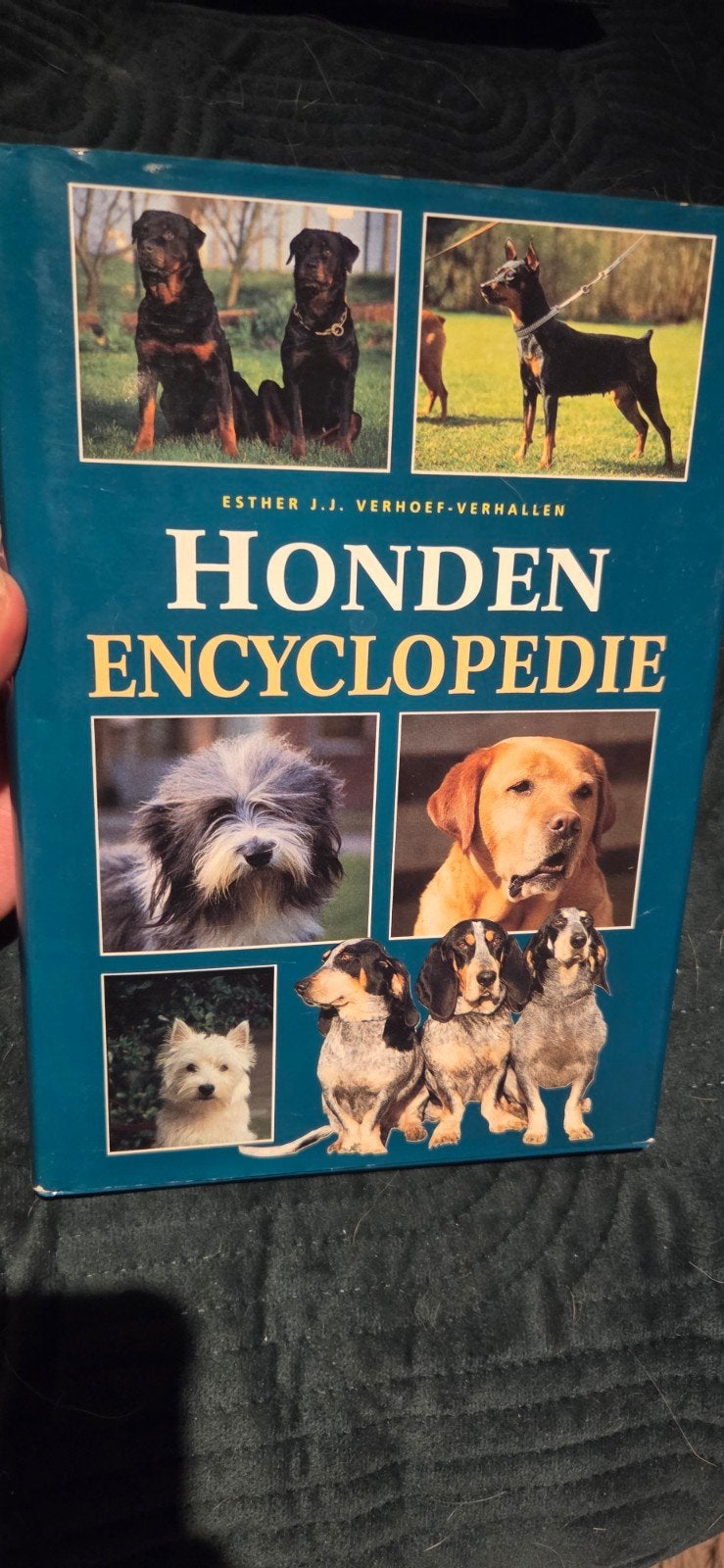 Honden Encyclopedie - Esther J.J. Verhoef-Verhallen (1997), Boeken, Ophalen of Verzenden, Gelezen, Honden, Esther J.J. Verhoef-Verhallen