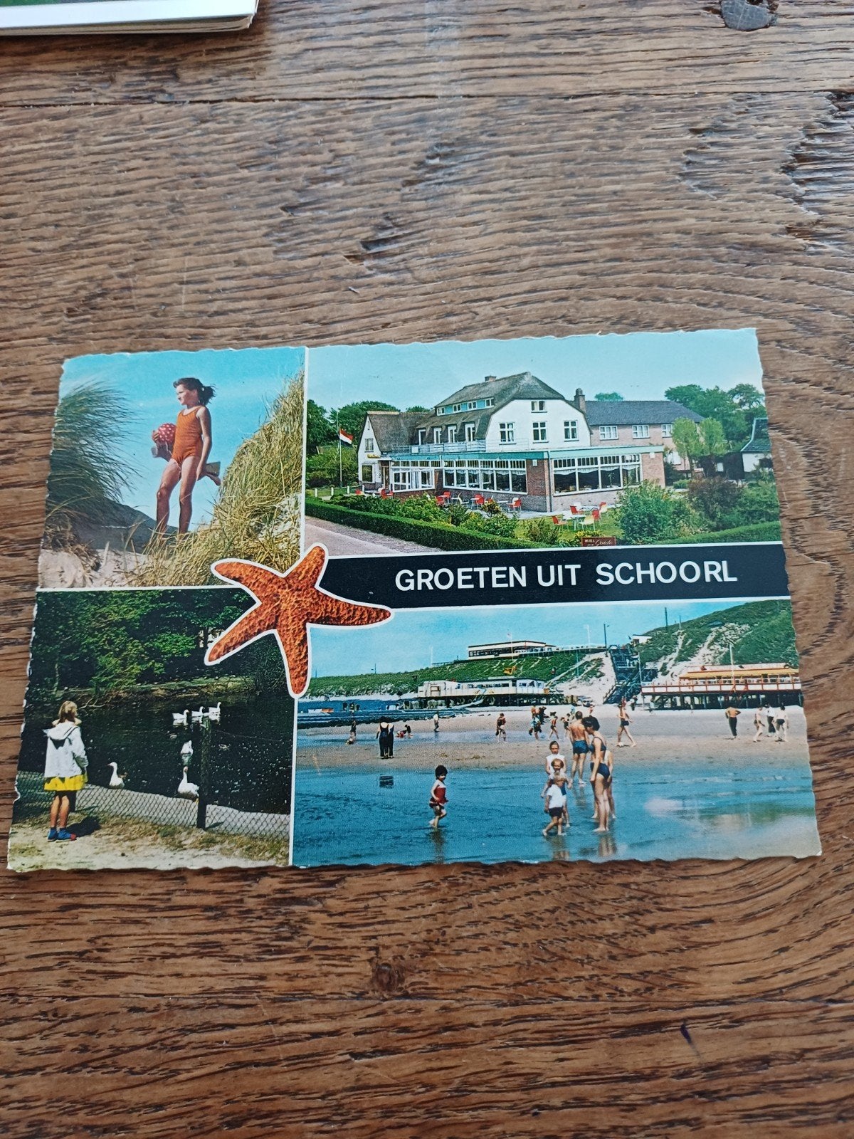 GROETEN UIT  SCHOORL, Ophalen of Verzenden, Noord-Holland