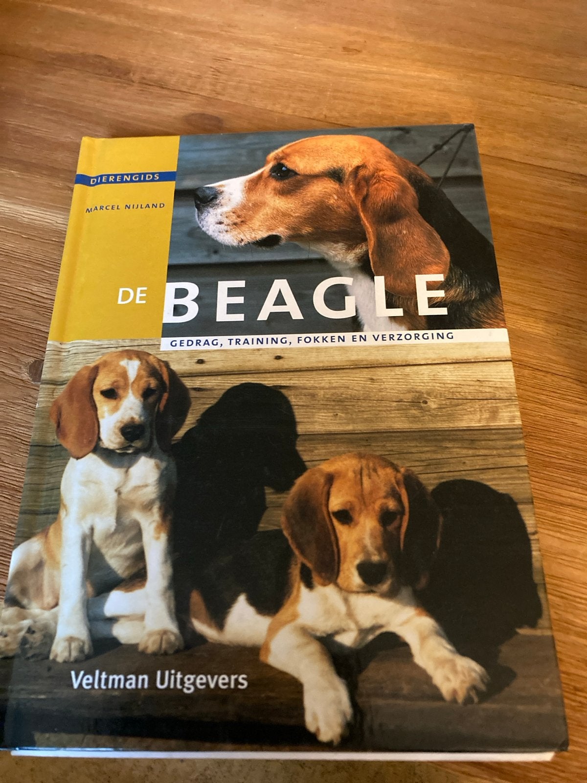 De Beagle: Gedrag, Training, Fokken en Verzorging, Ophalen of Verzenden, Zo goed als nieuw, Honden