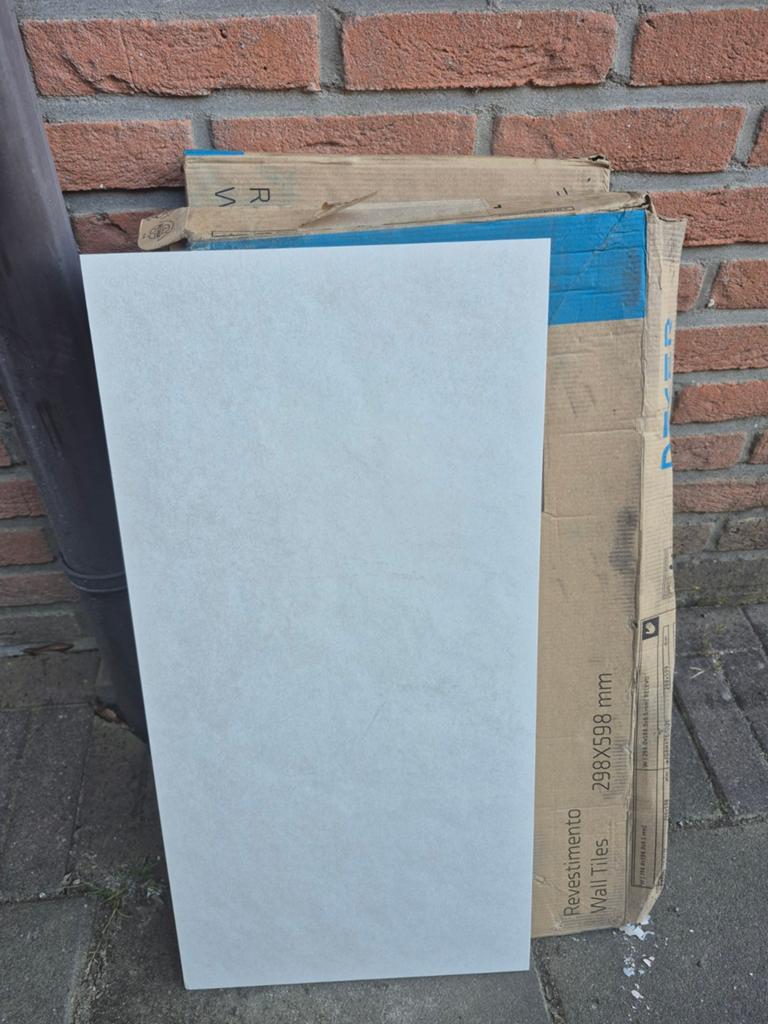 Nieuwe Recer Everlane wandtegels 298x598 mm - Lichtgrijs, Doe-het-zelf en Verbouw, Ophalen, 40 tot 60 cm, Nieuw, Minder dan 5 m²