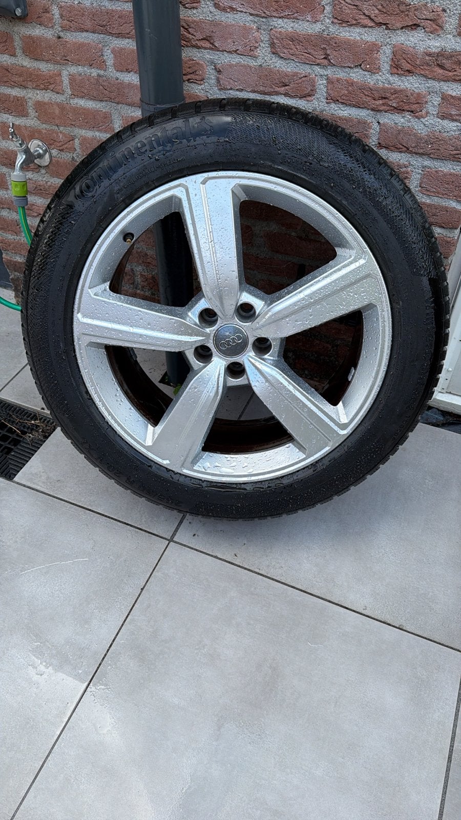 20" Originele Audi velgen met Continental winterbanden, Auto-onderdelen, Banden en Velgen, Ophalen, Gebruikt, 255 mm, Banden en Velgen
