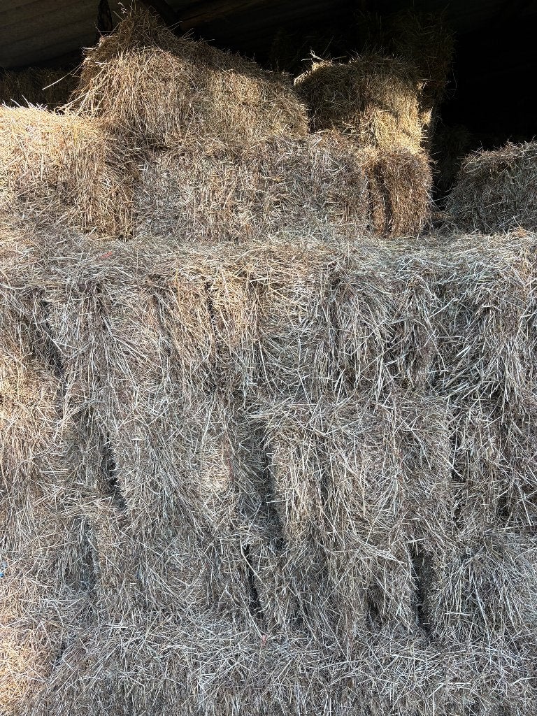 Hooi kleine balen /pakjes, Ophalen, Vee