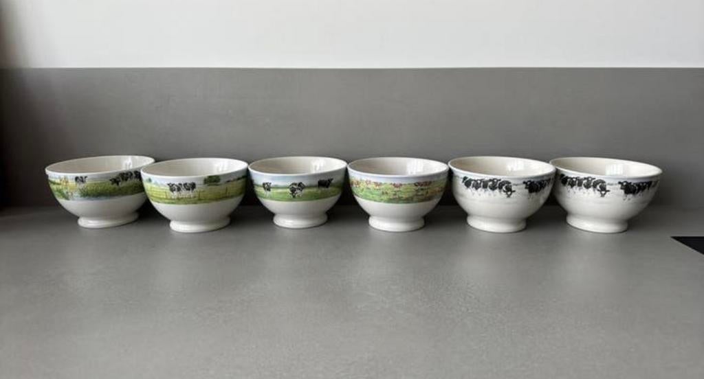 Wiebe van der Zee servies: 6 schaaltjes en 4 ontbijtborden, Ophalen, Gebruikt, Overige stijlen, Bord(en)