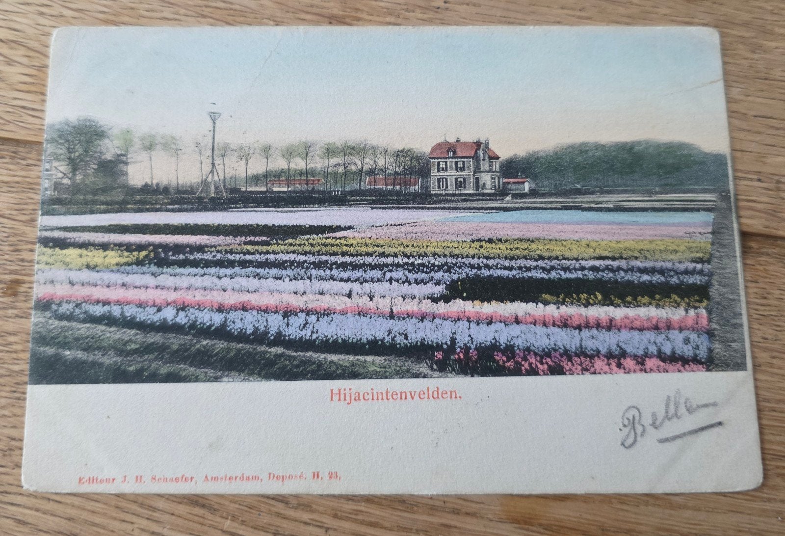 bollenvelden omgeving Haarlem, Ophalen of Verzenden