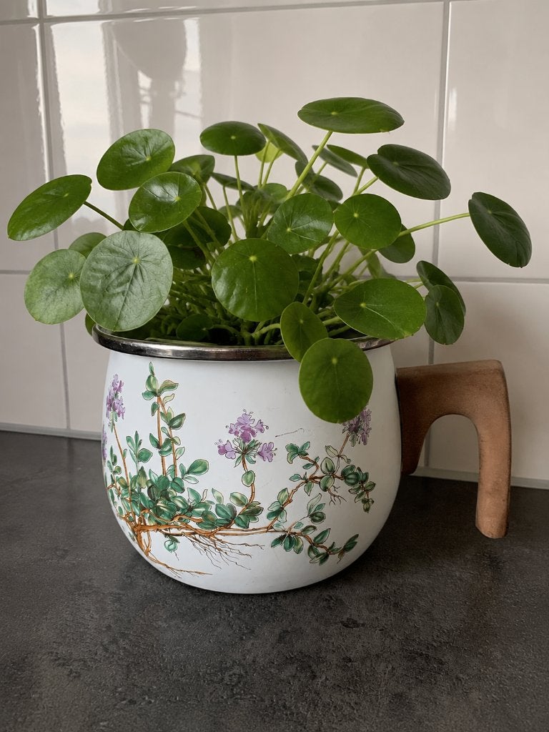 Villeroy & Boch Botanica emaille pot W-Duitsland  70/80, Huis en Inrichting, Keuken | Servies, Overige materialen, Gebruikt, Overige typen