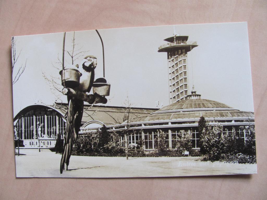 Rotterdam, Diergaarde Blijdorp echte foto, Ophalen of Verzenden, Zuid-Holland