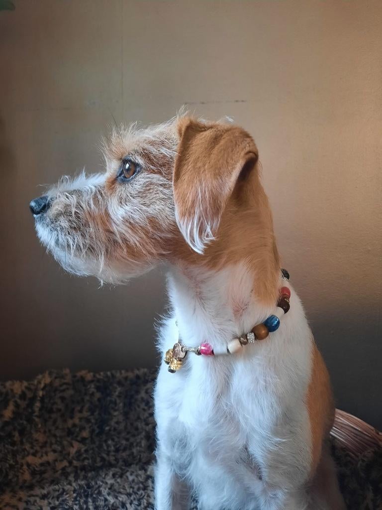 Nieuwe tekenketting voor de hond met EMX kralen, Verzenden, Handgemaakt, Nieuw