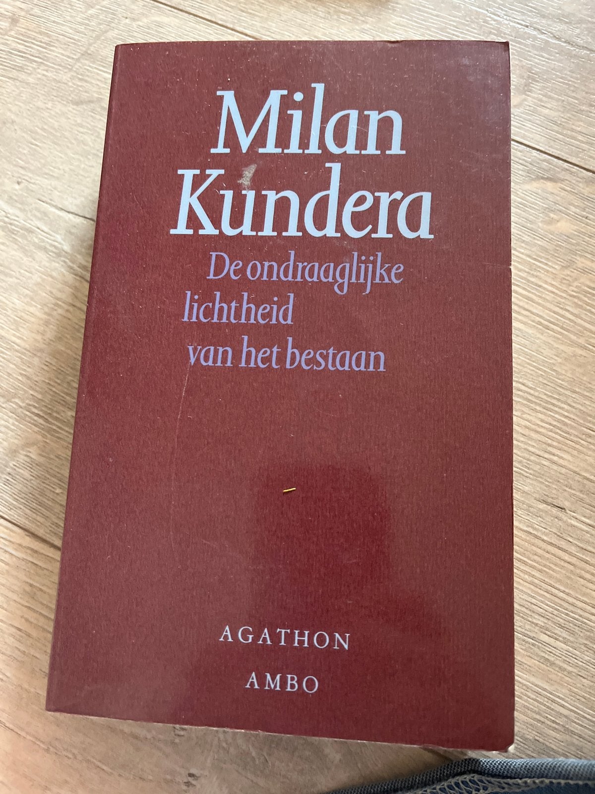 Milan Kundera - De ondraaglijke lichtheid van het bestaan, Verzenden, Gelezen, Europa overig