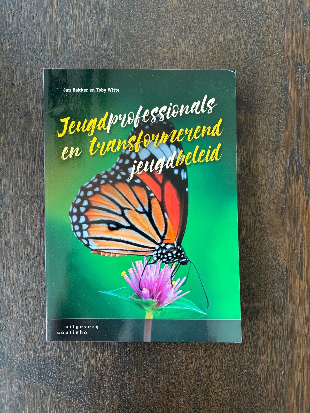 Jeugdprofessionals en transformerend jeugdbeleid, Ophalen of Verzenden, Gamma, Zo goed als nieuw, HBO