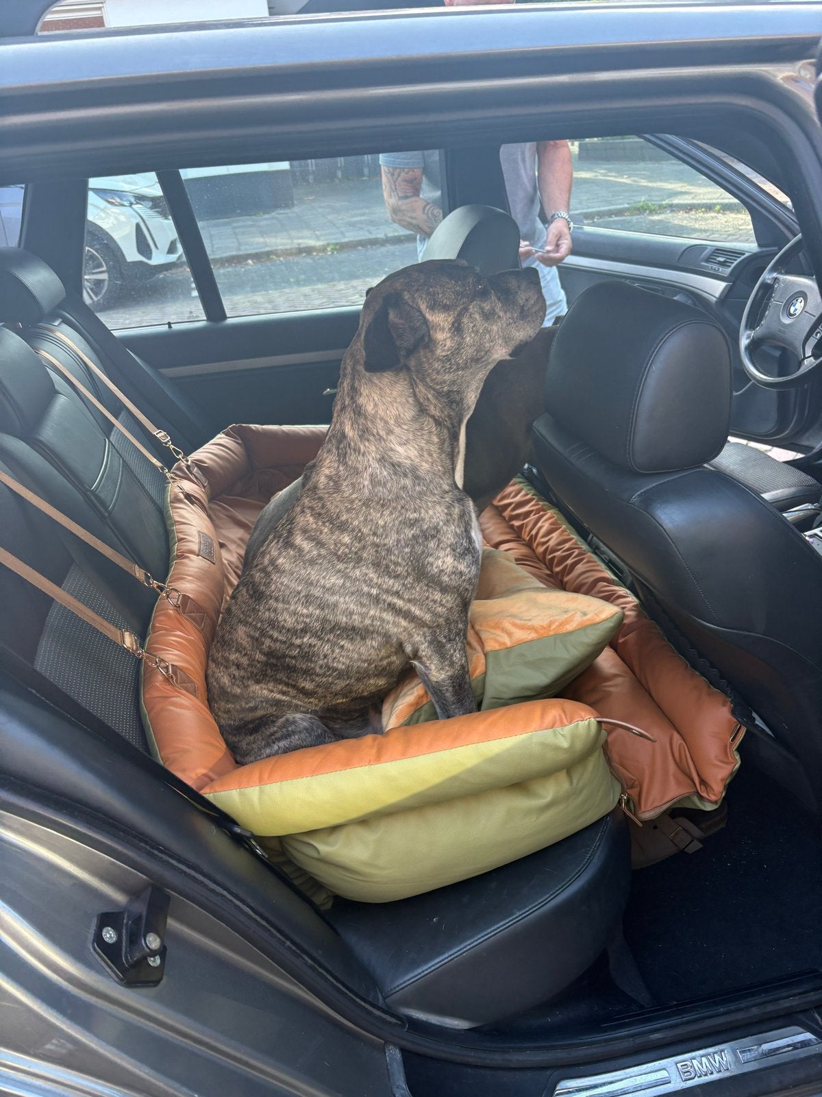 Auto Hondenmand, Dieren en Toebehoren, Hondenmanden, Ophalen, Zo goed als nieuw, Leer