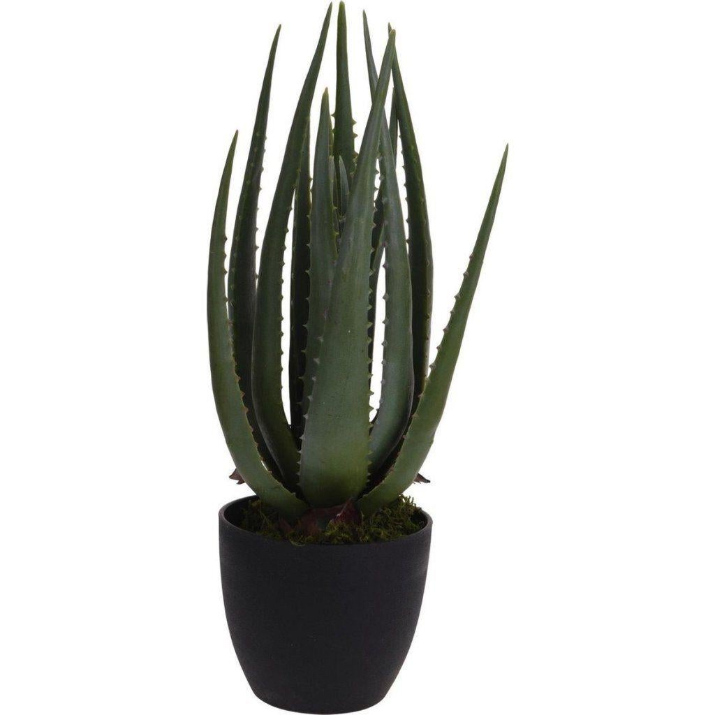 Kunstplant Aloë Vera 25x45 cm Groen, Ophalen, Binnen, Home & Styling, Home & Styling