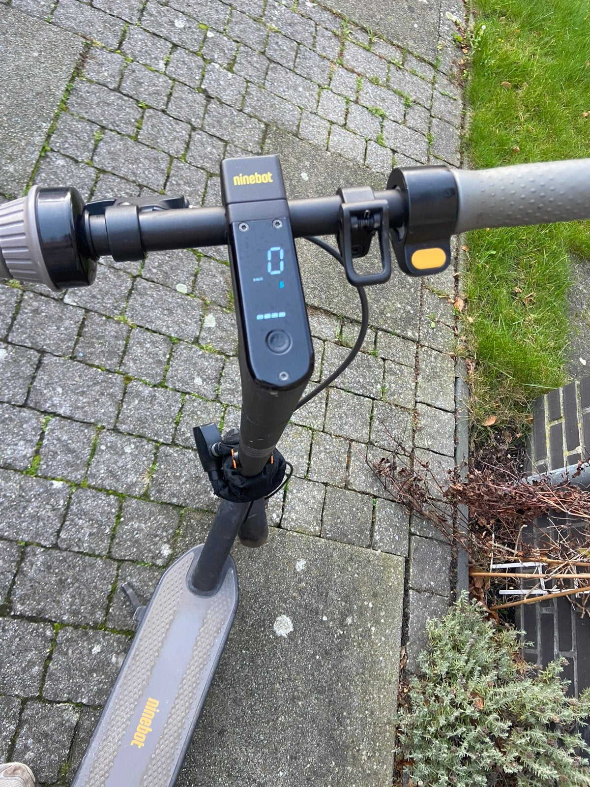 Elektrische step ninebot, Fietsen en Brommers, Steps, Ophalen of Verzenden, Zo goed als nieuw, Elektrische step (E-scooter)
