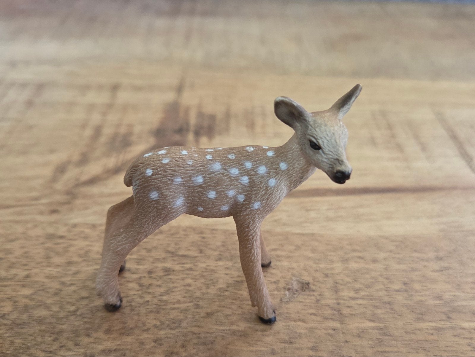 Schleich witstaart reekalf, Ophalen of Verzenden, Zo goed als nieuw, Beeldje of Figuurtje