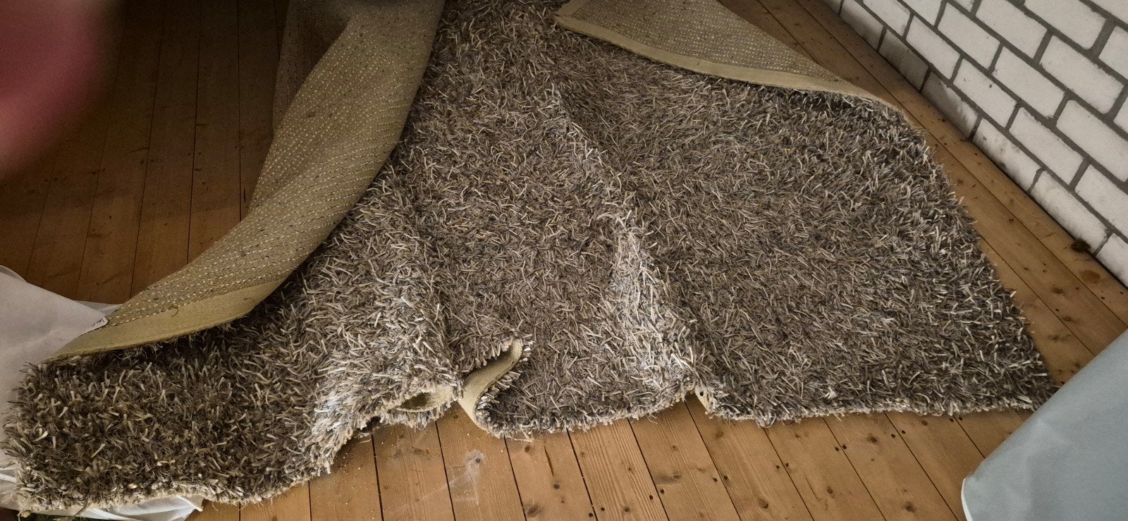 vloerkleed 200x300 cm met bijpassende kussens, Huis en Inrichting, Ophalen, Shaggy, Gebruikt, 200 cm of meer