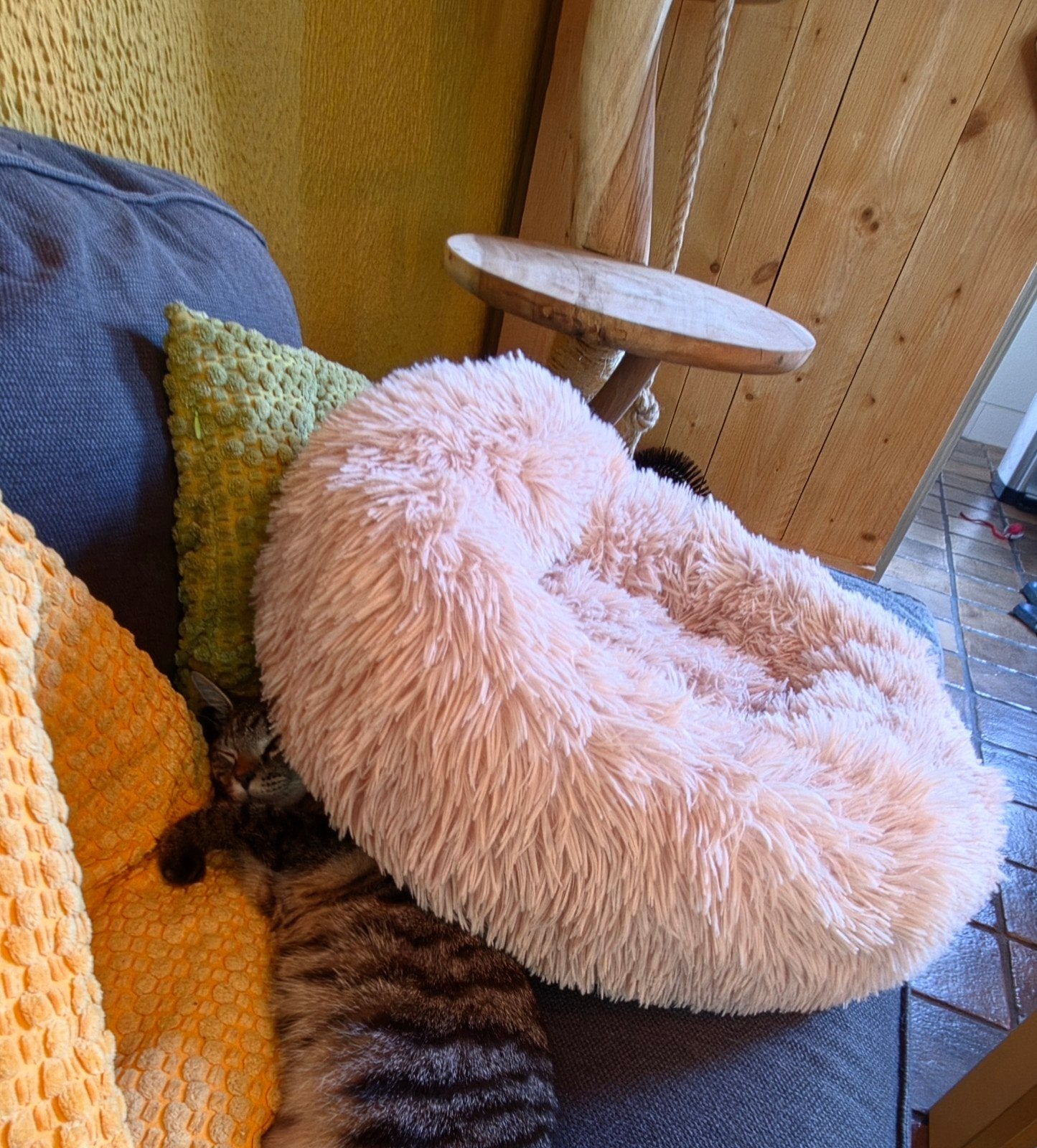 Nieuw! zachte leuke honden / katten mandje kussen licht roze, Ophalen of Verzenden, Nieuw, Pluche