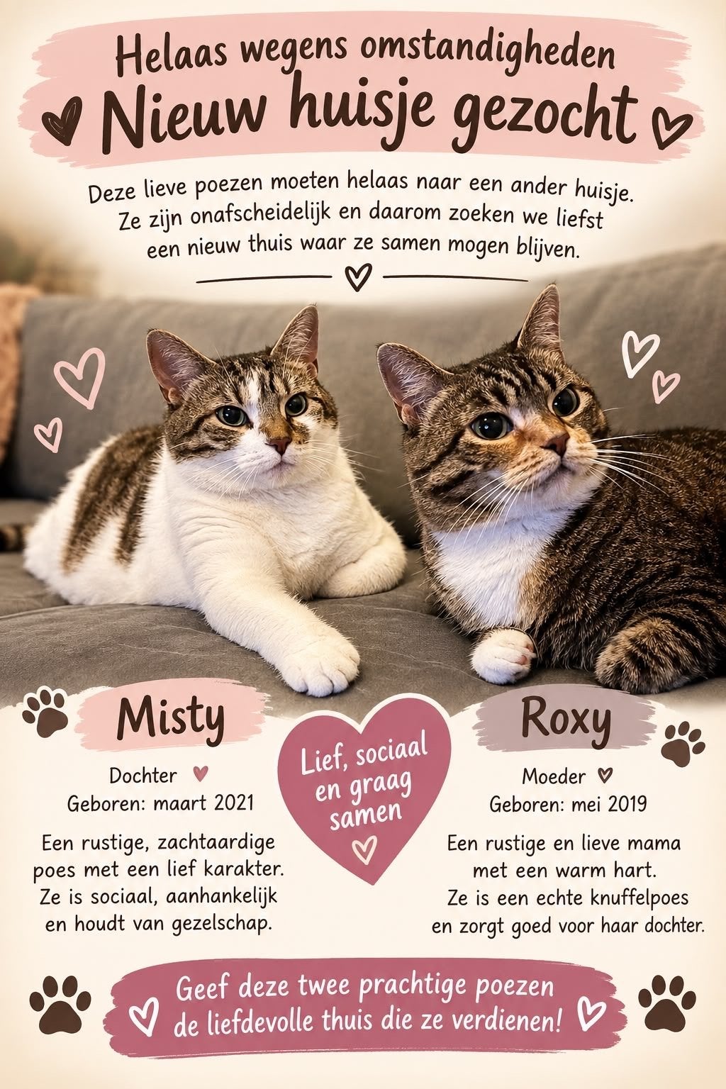 Nieuw huisje gezocht, Meerdere dieren, Kortharig, 3 tot 5 jaar