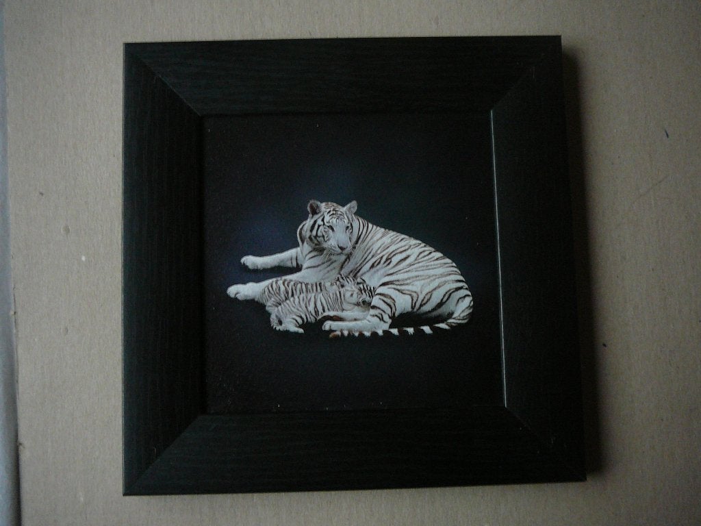 MDF lijstje met afbeelding van tijgers (22,5 x 22,5), Ophalen of Verzenden, Minder dan 50 cm, Schilderij