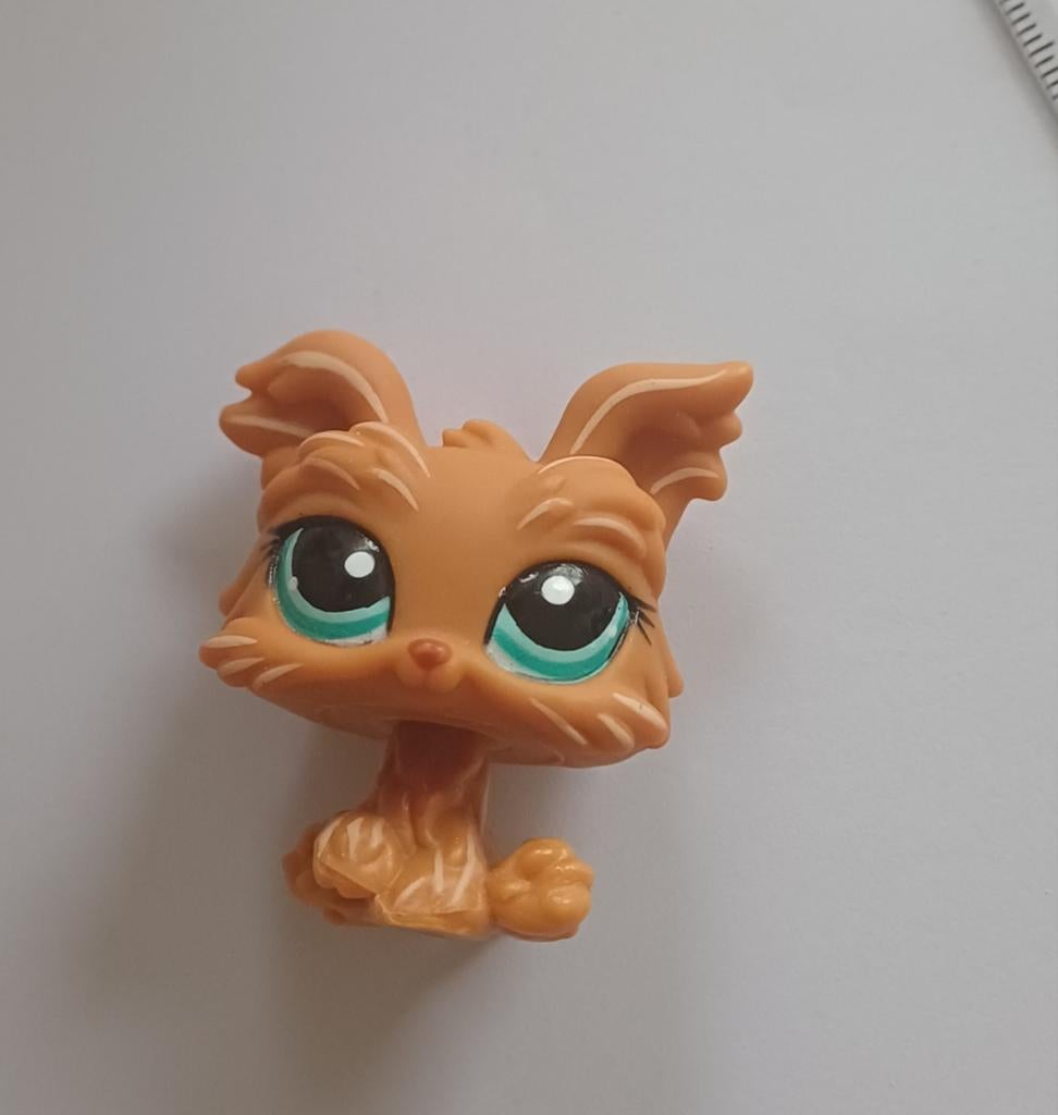 Littlest Pet Shop Yorkie #1407 Hasbro LPS Hondje, Ophalen of Verzenden, Gebruikt