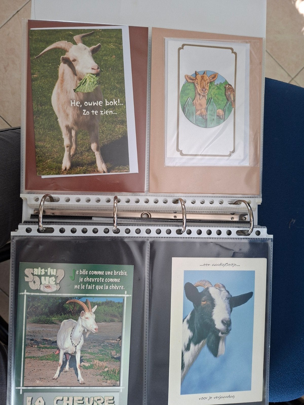 Collectie kaarten, 3D vellen en stickers met geiten, Ophalen of Verzenden, 1980 tot heden