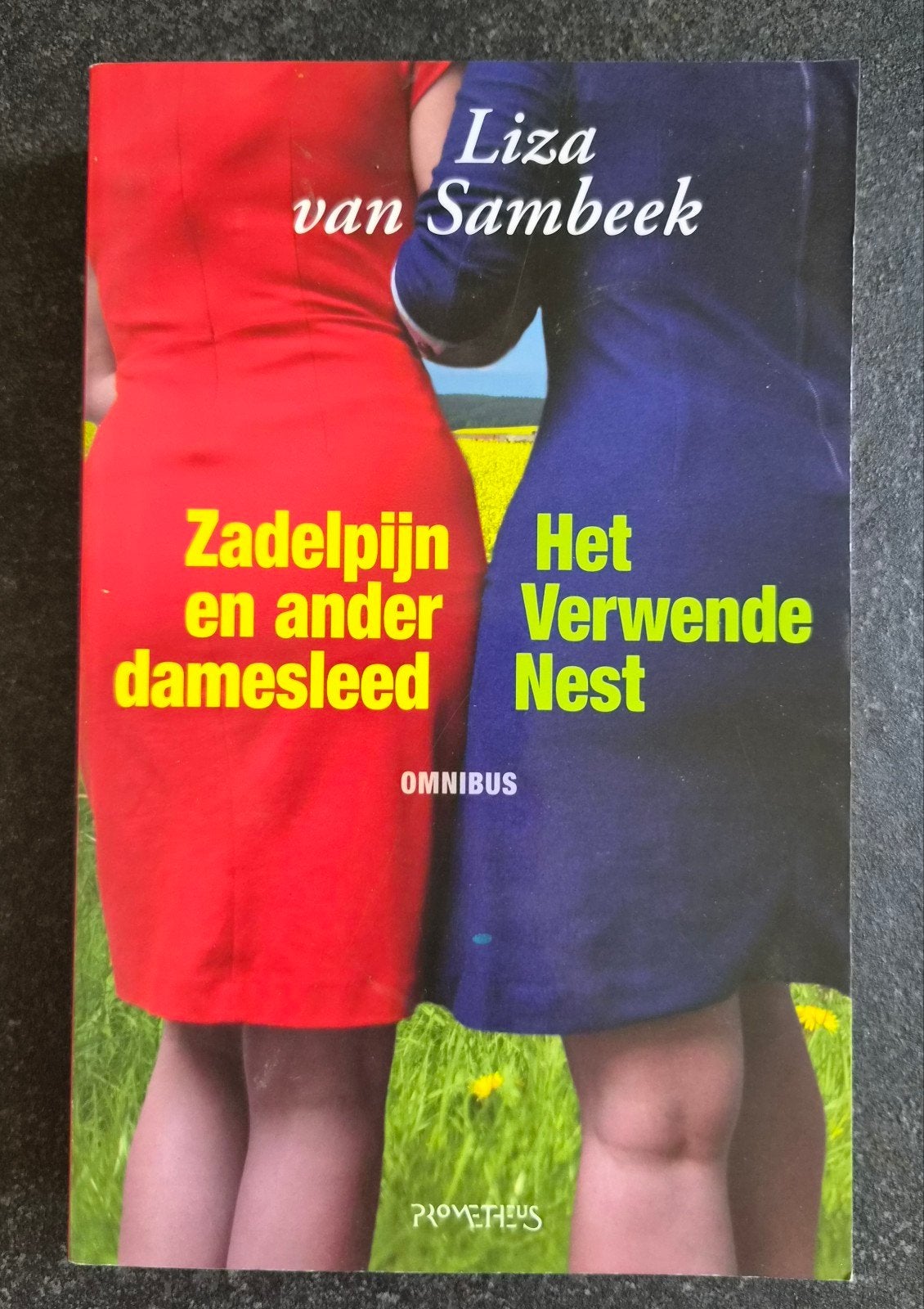 Omnibus Liza van Sambeek: Zadelpijn en Het Verwende Nest, Boeken, Ophalen of Verzenden, Gelezen, Liza van Sambeek, Nederland