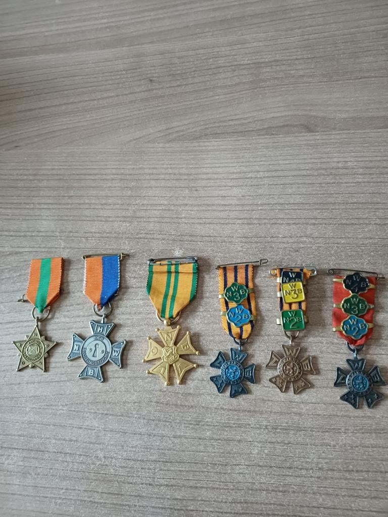 Oude Avondvierdaagse en Vierdaagse medailles, Ophalen of Verzenden, Brons, Nederland
