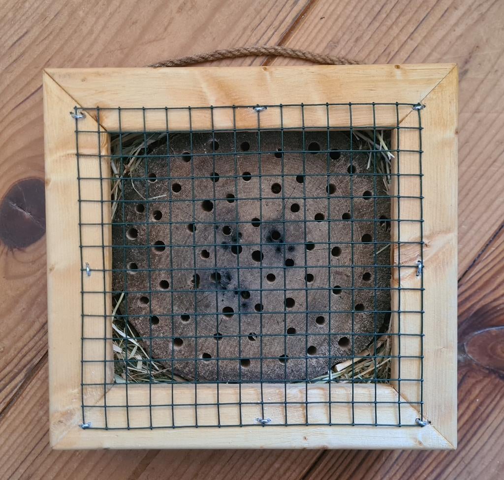 Insectenhotel, bijenhotel. Specht-proof!, Ophalen of Verzenden, Nieuw