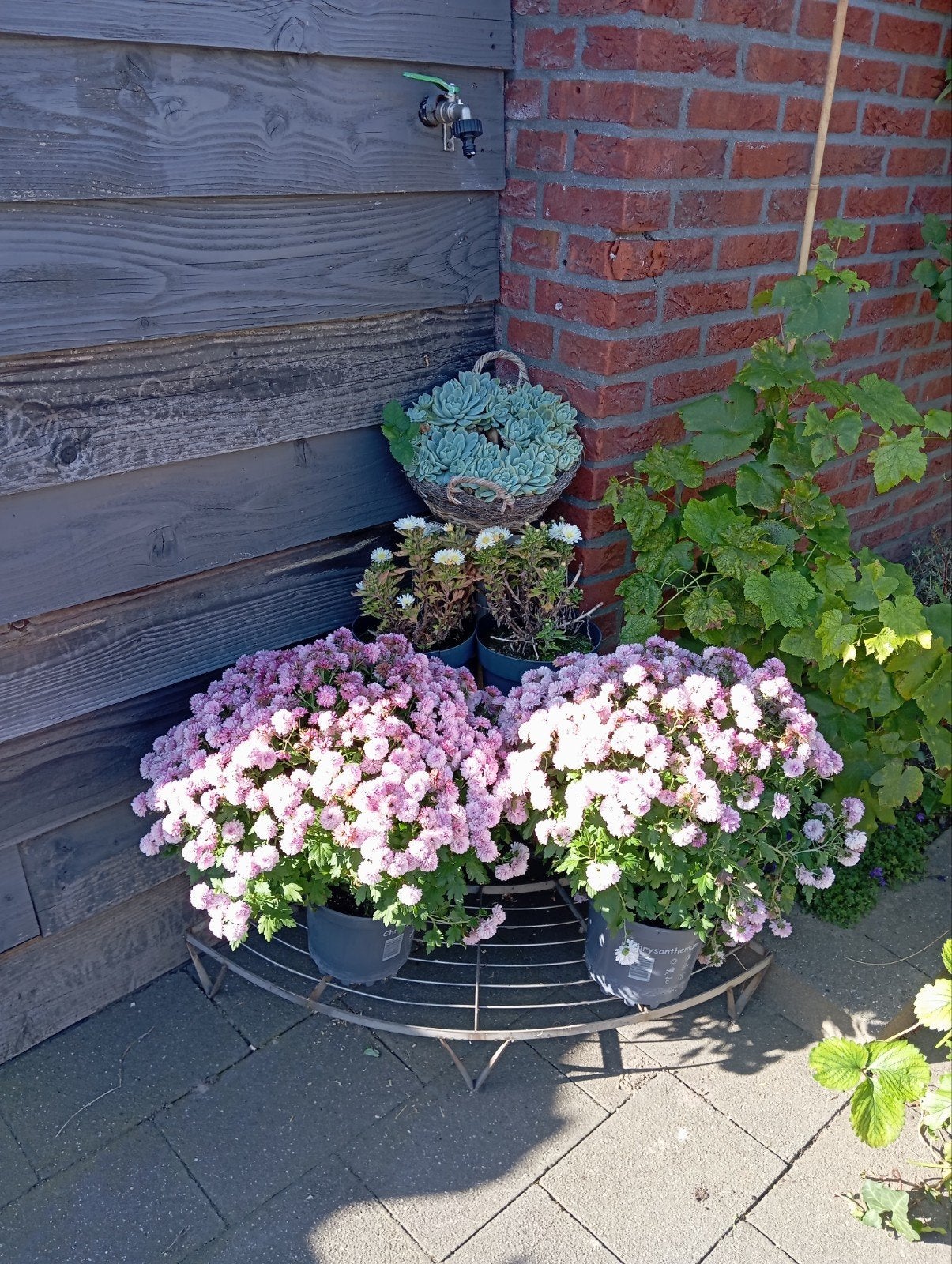 Metalen plantenrek hoekmodel 60x60x64 cm, Ophalen, Gebruikt, 60 cm of meer, Metaal