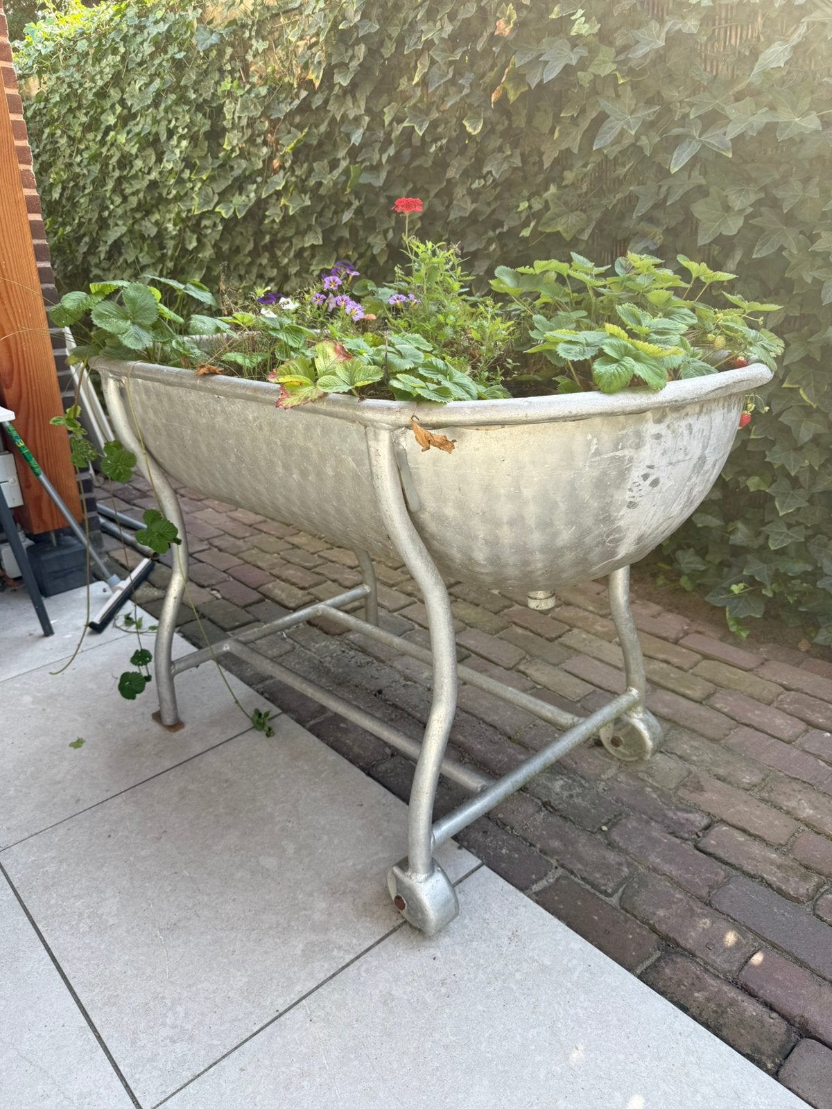 Slagersbak  te gebruiken als tuindeco /bloem plantenbak, Tuin en Terras, Gebruikt, 100 cm of meer, Ophalen of Verzenden, Metaal