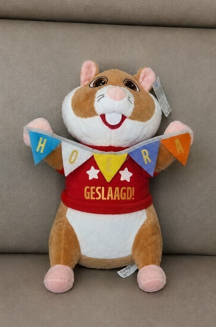 1 Geslaagd Hamster Knuffel - Hoera Geslaagd!, Kinderen en Baby's, Speelgoed | Knuffels en Pluche, Overige merken, Overige karakters