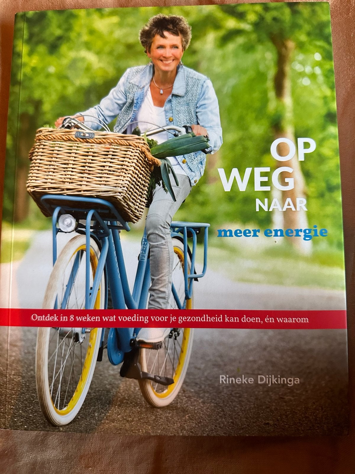 Op weg naar meer energie - Rineke Dijkinga, Ophalen of Verzenden, Zo goed als nieuw, Dieet en Voeding
