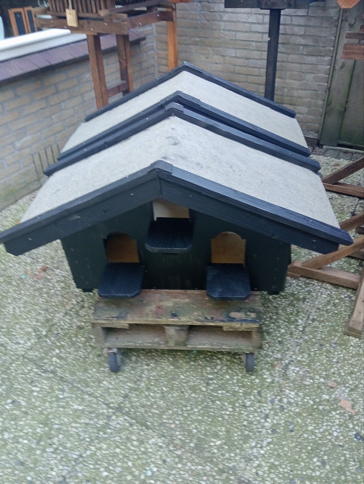 zwarte wand duiventil 95,00, Meerdere dieren, Postduif