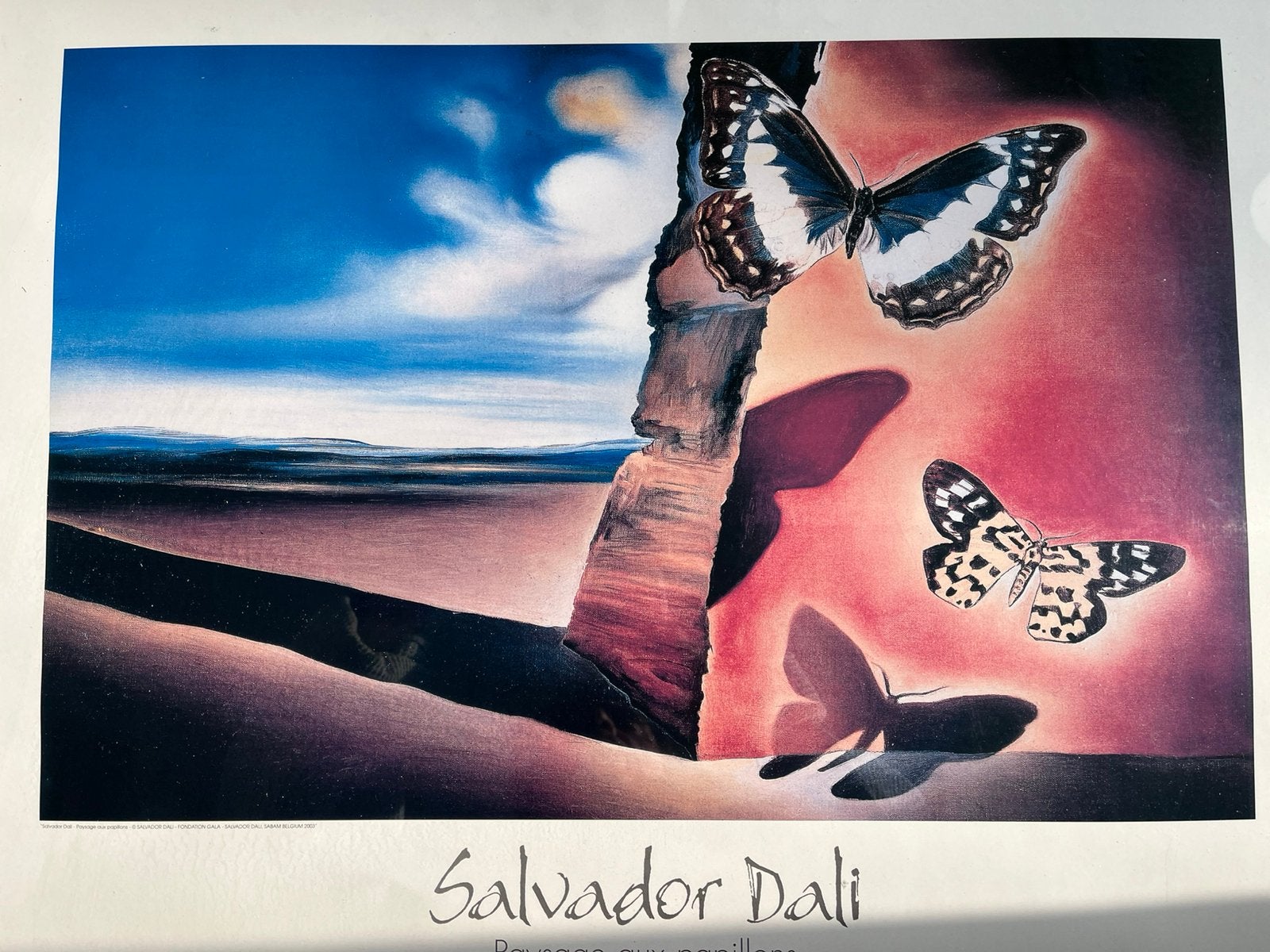 SALVADOR DALI. —  PAYSAGE AUX PAPILLONS., Ophalen of Verzenden