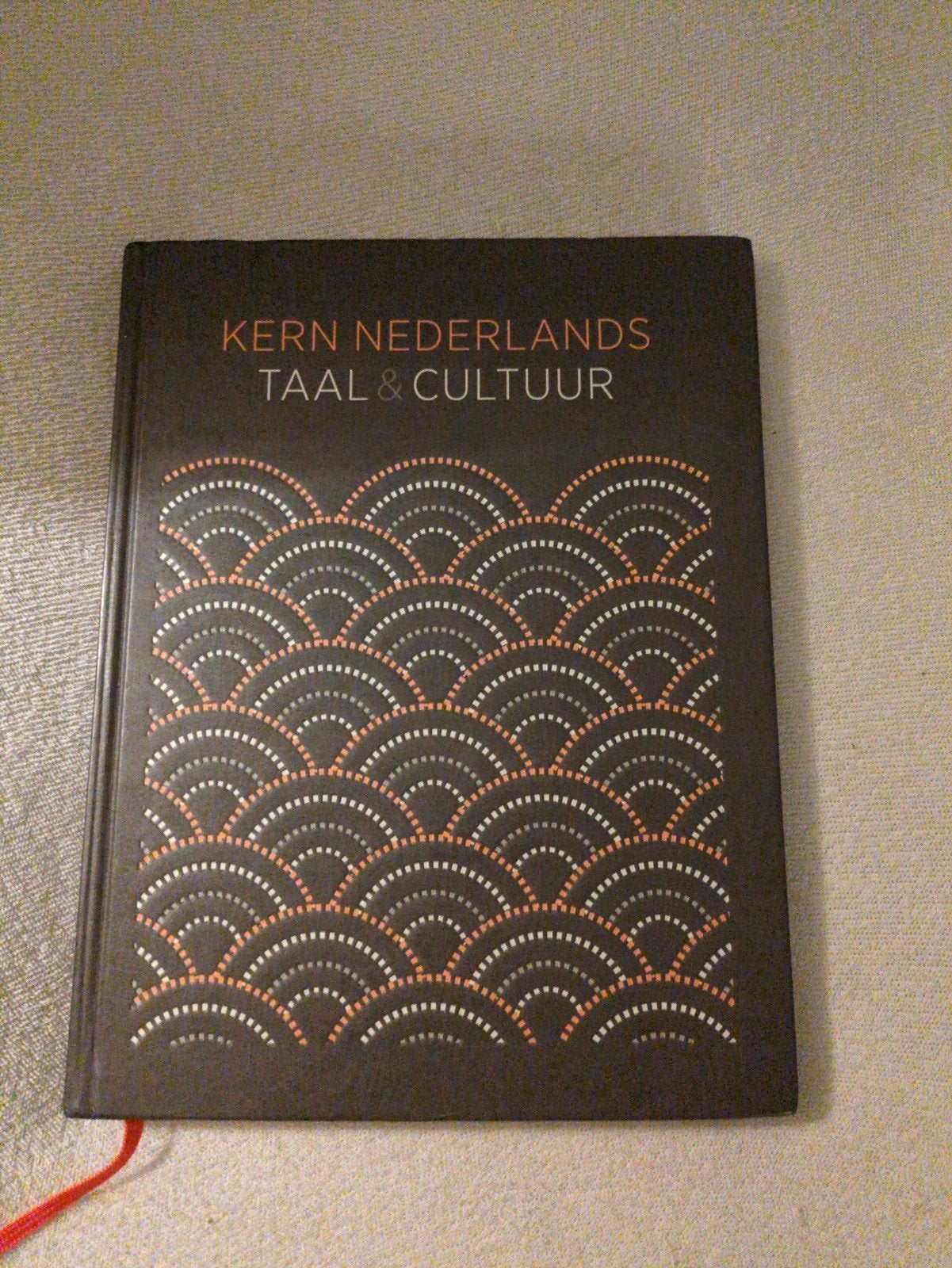 Kern Nederlands Taal & Cultuur - Studieboek, Boeken, Onbekend, Zo goed als nieuw, Alpha, HBO